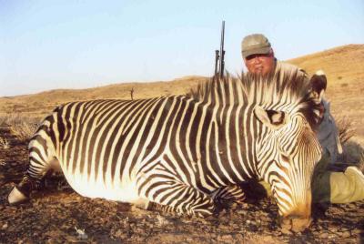 My Mountain Zebra, hunted in the Namib Desert