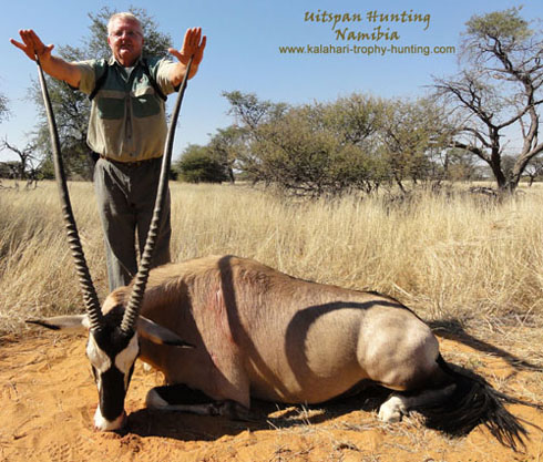 PH Dawie showing the lenght of this big Gemsbok trophy! Big gemsbok hunt Kalahari, Namibia