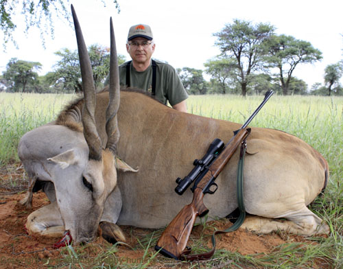 Istvan hunted this female Eland as a culling animal. Eland trophy hunting Namibia