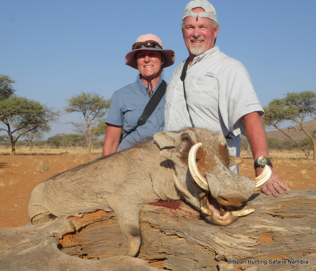 Warthog hunt Searles Namibia 2019