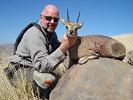 Klipspringer Hunt Namibia