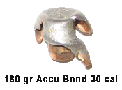Accu Bond Bullets