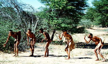 Kalahari Bushmen Hunting