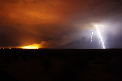 Kalahari Hunting Namibia