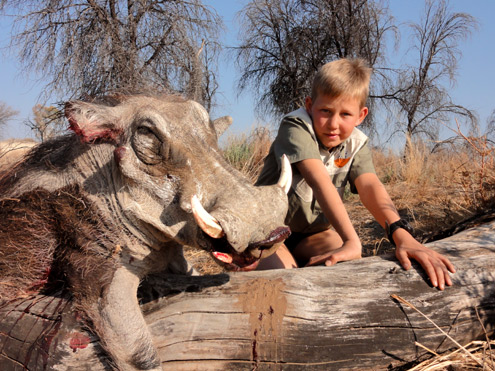 Namibia warthog hunting