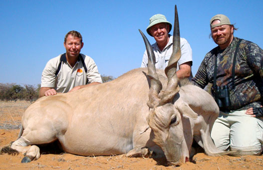 Namibia eland hunt