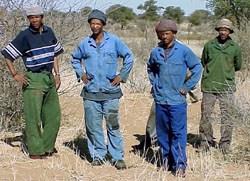 Kalahari trackers