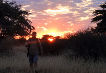 Kalahari hunt reflection