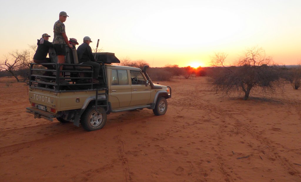 Hunting in a barren Kalahari nature