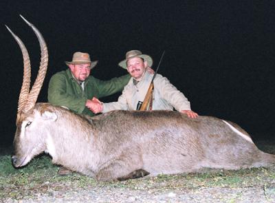 Magnificent Waterbuck!