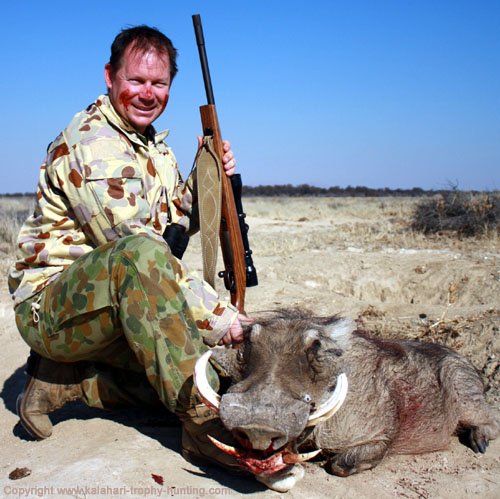 Warthog Hunting, Namibia