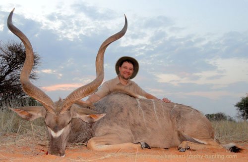 Kalahari Kudu hunt, Namibia