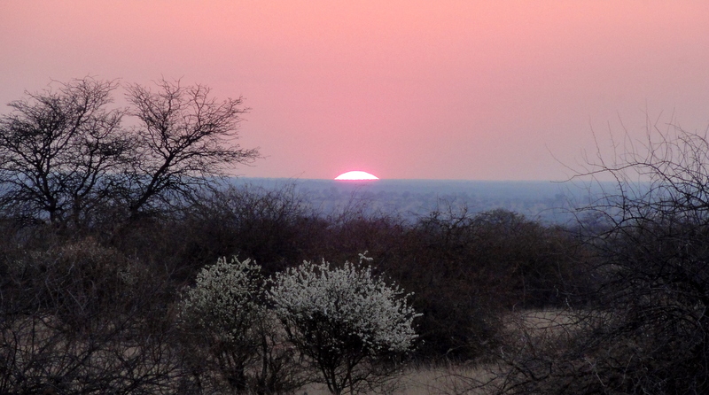 Kalahari hunt reflection