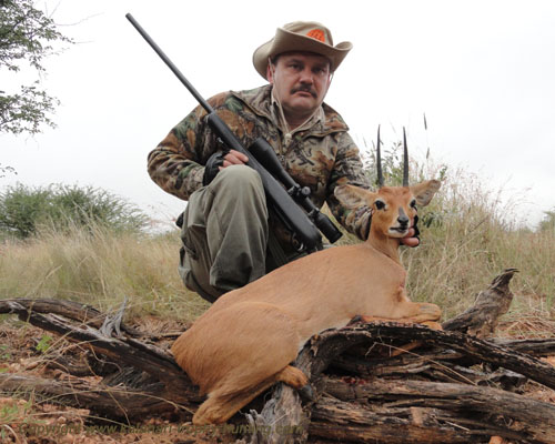 Steenbok trophy hunting Namibia