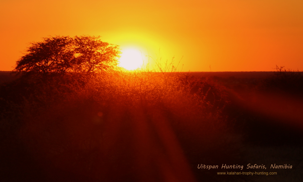 Kalahari Hunting Namibia