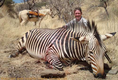 Jaco's Hartmann's Zebra Zebra Hunt Namibia