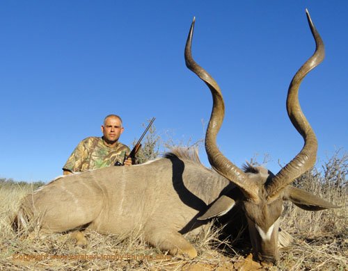 Kalahari family hunt, Namibia