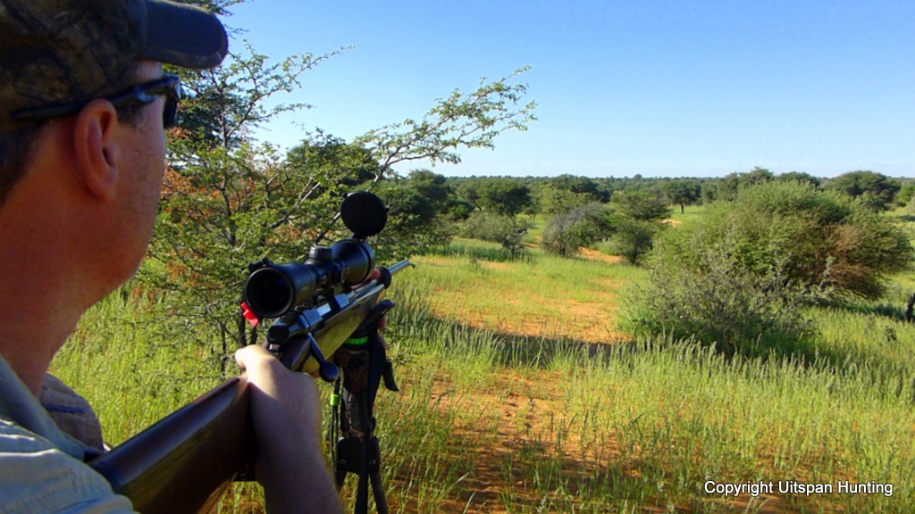 Kalahari Hunt Namibia