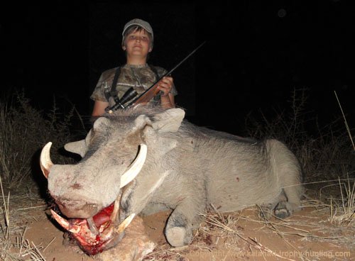 Warthog Hunt, Namibia