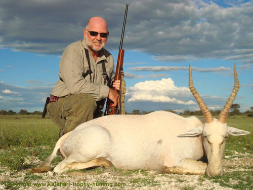 Roy hunted this White Blesbok in the Kalahari White Blesbok Hunt Namibia