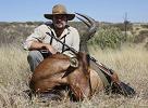 Red Hartebeest Hunt Namibia