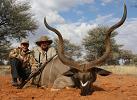 Kudu Hunt Namibia