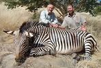 Zebra Hunt Namibia