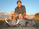 Warthog Hunt Namibia