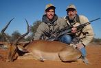 Impala Hunt Namibia