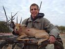 Steenbok Hunt Namibia