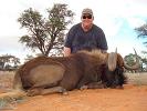 Black Wildebeest Hunt Namibia