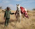 Mountain Hunt Namibia