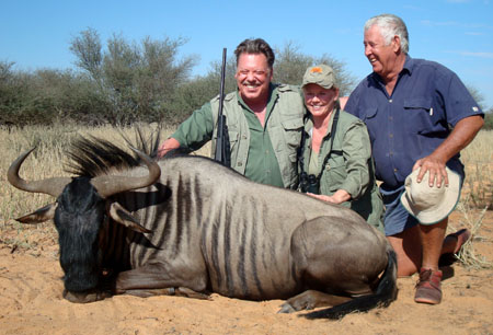 Blue Wildebeest Hunting, Namibia