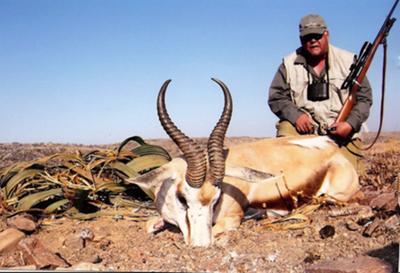 My Namib Desert Springbok
