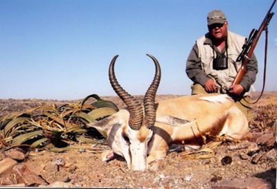My Namib Desert Springbok