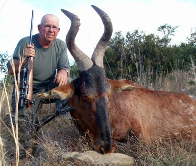 <b>My hard-to-get Red Hartebeest </b>