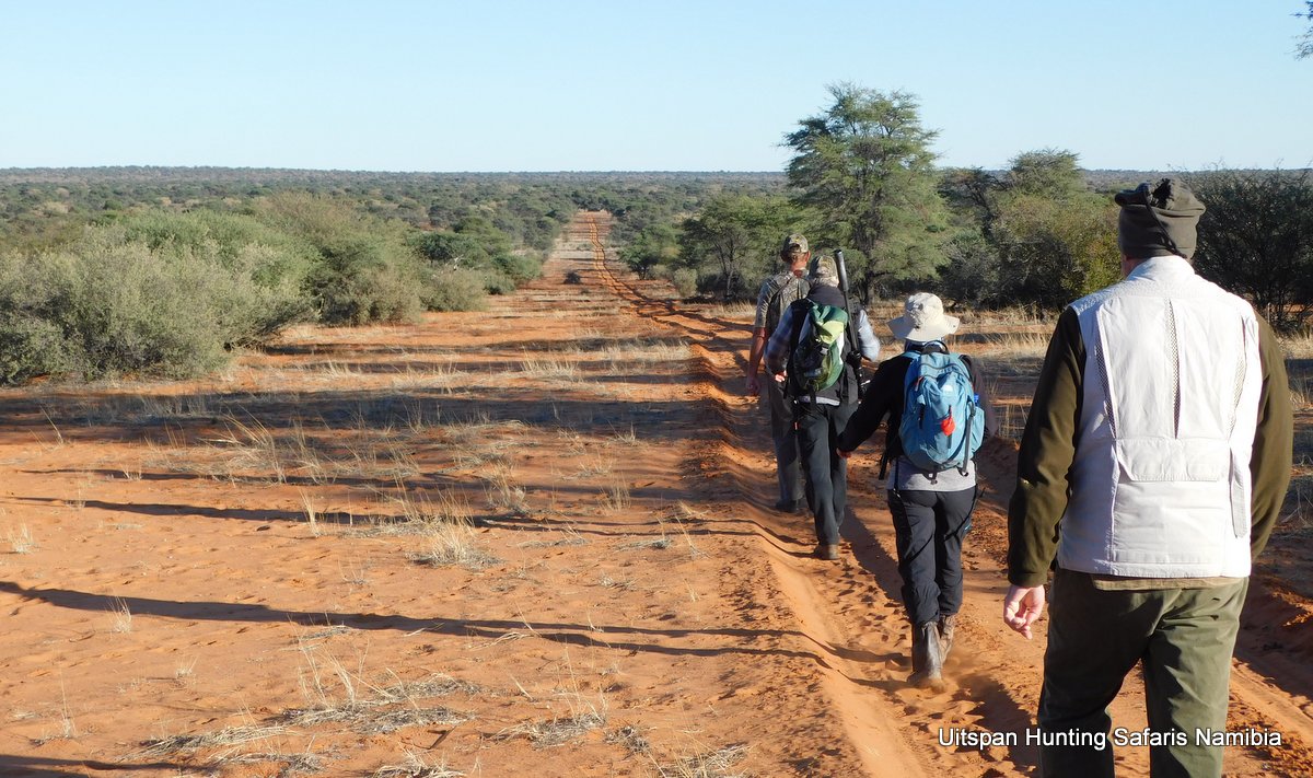 Kalahari hunting, Uitspan Ranch, Namibia