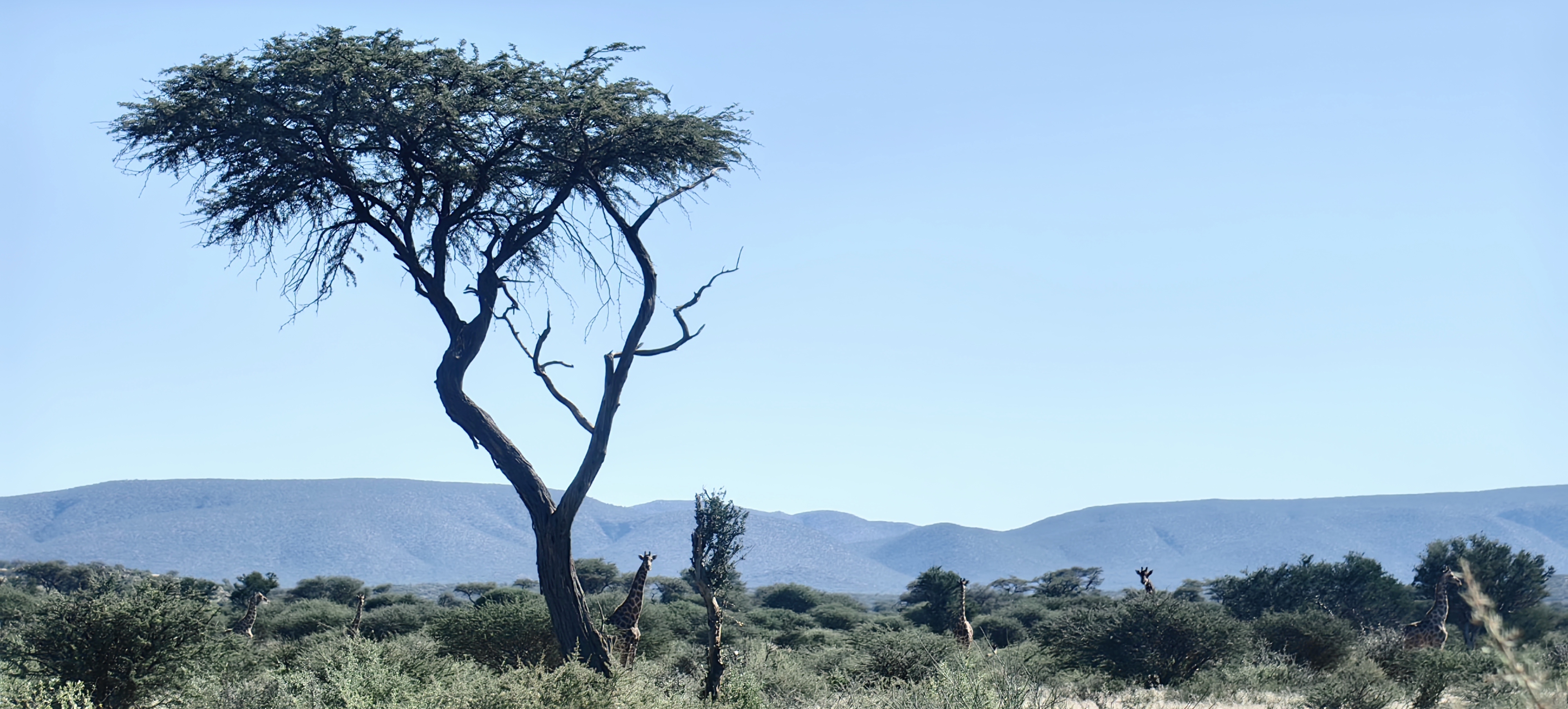 Namibian scene as seen on our hunting trip with Uitspan Hunting Safaris