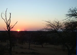 Kalahari Hunting, Namibia