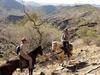 On horses in Khomas Hochland mountains, Namibia