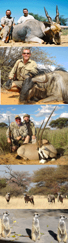 Namibia hunting,Africa hunts,hunt safaris